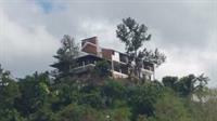 Tranquility Estate Bed And Breakfast كينغستون المظهر الخارجي الصورة