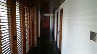 Tranquility Estate Bed And Breakfast كينغستون المظهر الخارجي الصورة